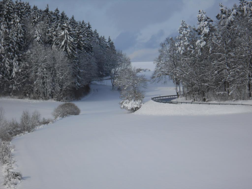 Landgasthof Schuetzen Tengen Exterior photo
